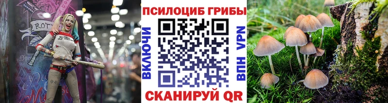 Галлюциногенные грибы MAGIC MUSHROOMS  даркнет сайт  Рошаль 