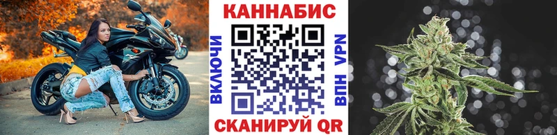 Шишки марихуана Bruce Banner Рошаль